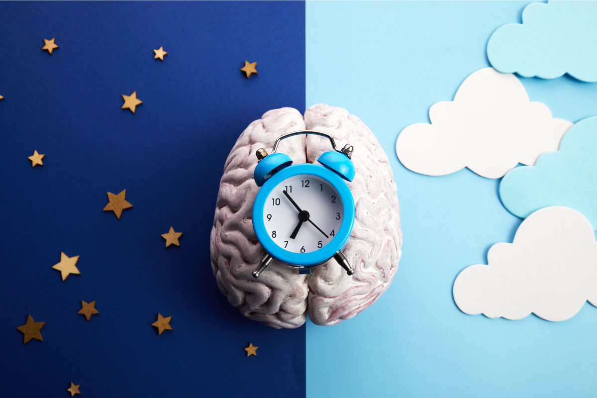 Half of a brain illuminated by daylight, while the other half is in darkness symbolising night-time, with a clock in the middle representing the sleep-wake cycle.