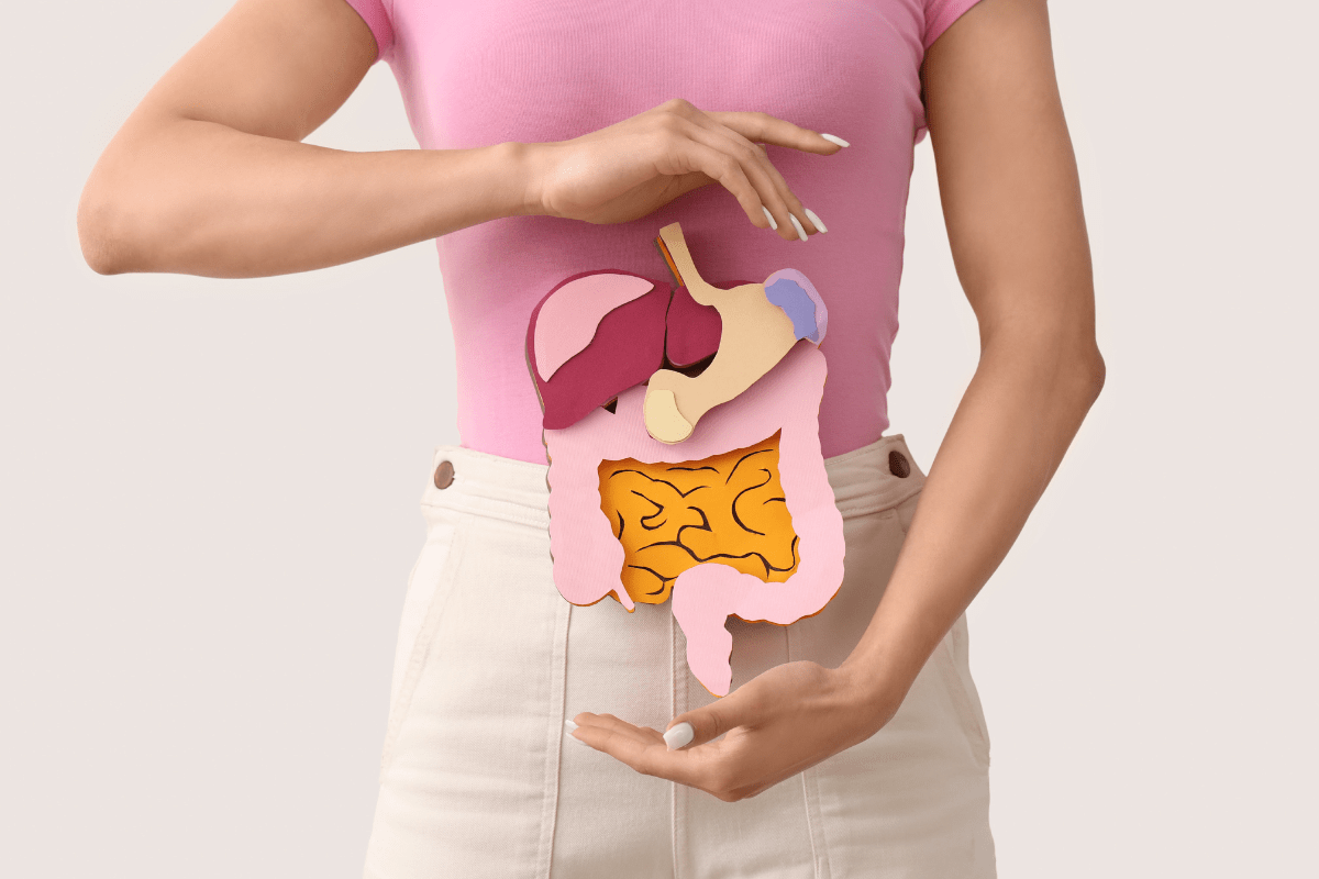 Person holding a paper-cut illustration of the digestive system.