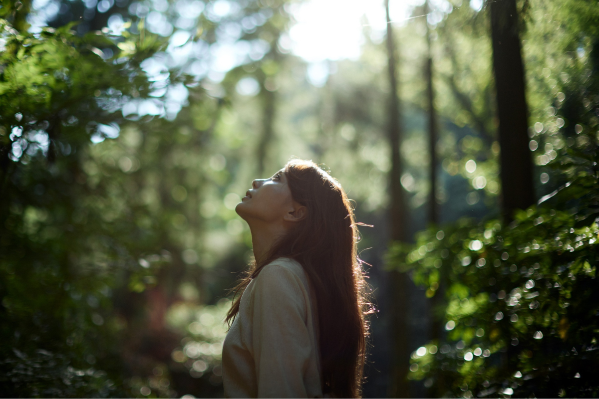 Woman looking up while standing in a sunlit forest.