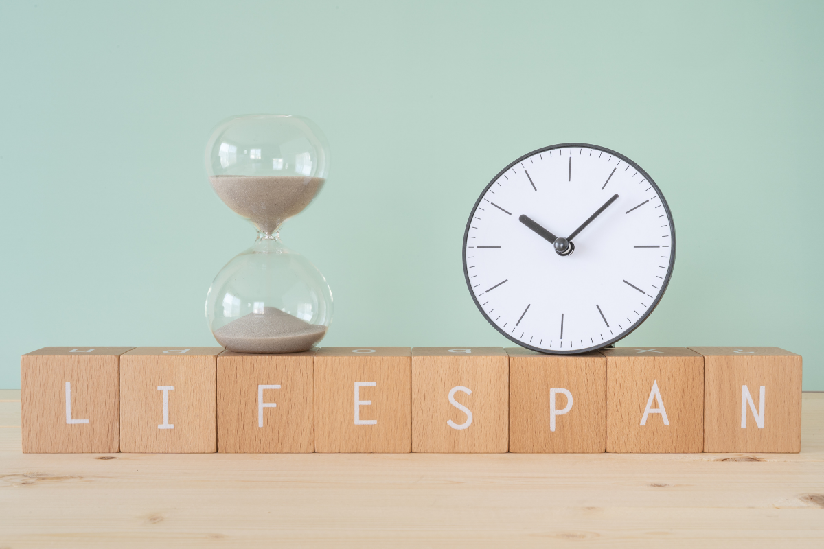 Hourglass and clock on wooden blocks spelling ‘Lifespan.’