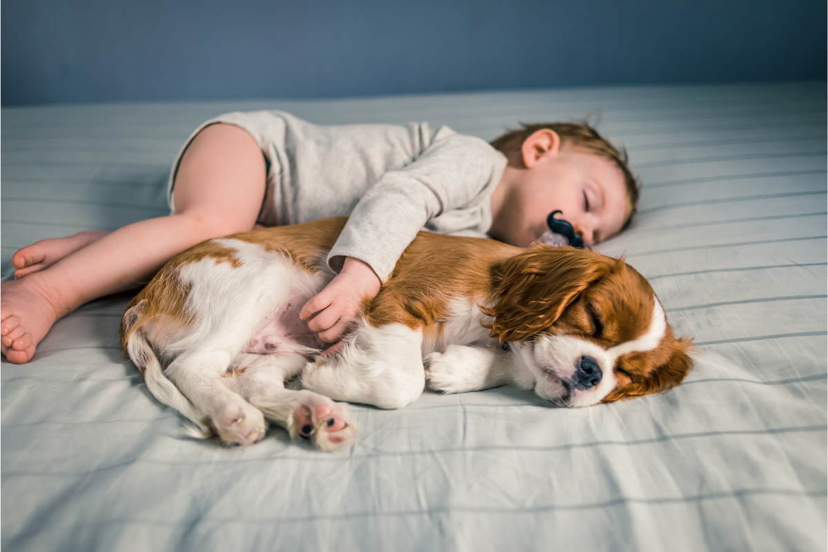 Enjoy Napping How to Use Napping to Boost Your Productivity and Health