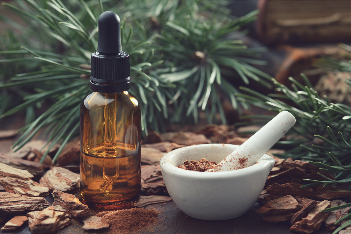 Amber dropper bottle with pine bark and powder in a mortar, set against pine branches.