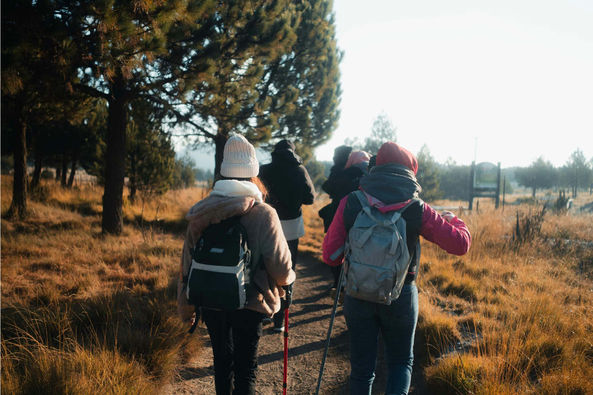 Group of people walking on a trail through a forest in cool-weather clothing.