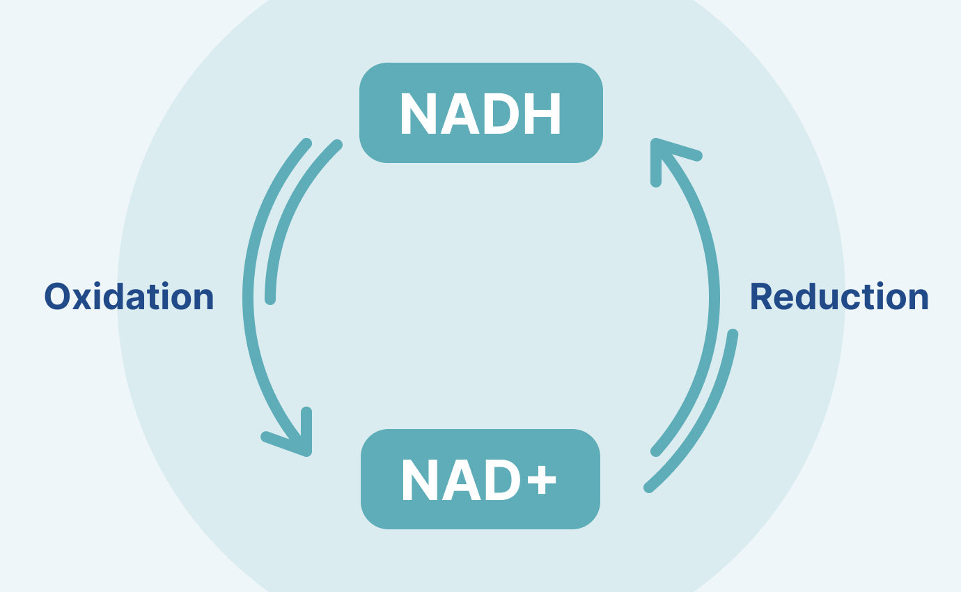 What Is NAD What is nad