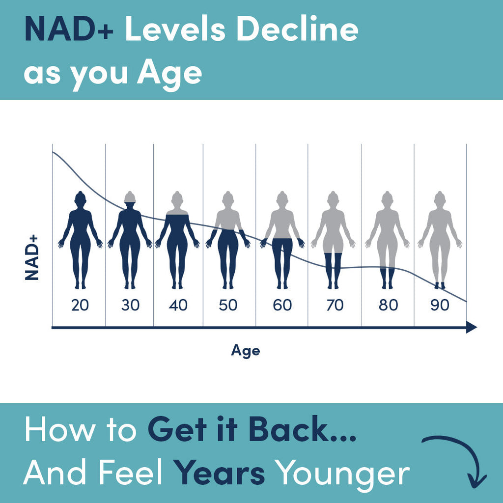 NMN Capsules for NAD+ 500mg