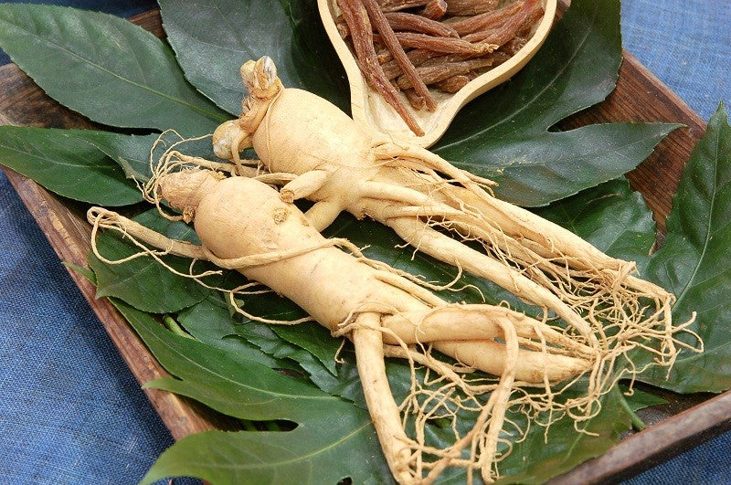 gingseng supplements